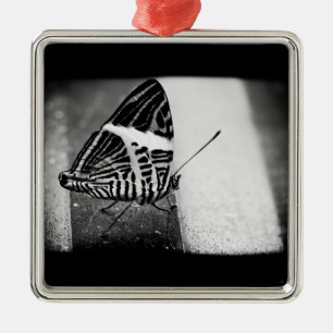 Schmetterlingskreuzung Silbernes Ornament