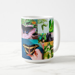 Schmetterlingsleben Kaffeetasse