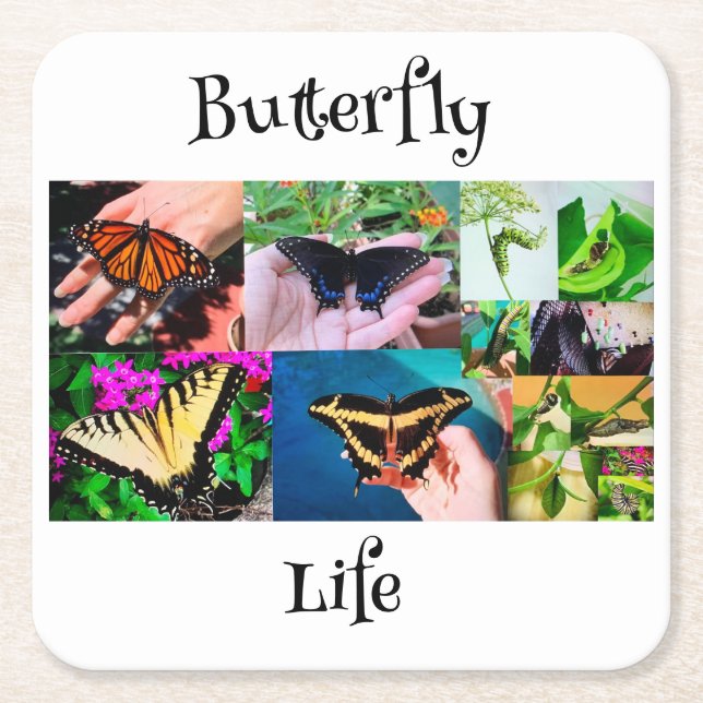 Schmetterlingsleben Rechteckiger Pappuntersetzer (Vorderseite)