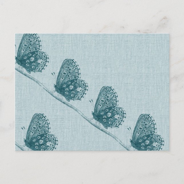 Schmetterlingslinie Postkarte (Vorderseite)