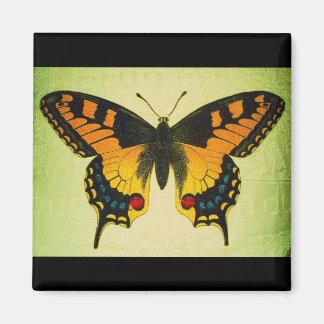 Schmetterlingsmagnet Magnet