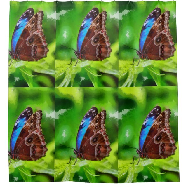 Schmetterlingsmalerei Duschvorhang (Vorderseite)