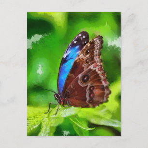 Schmetterlingsmalerei Postkarte