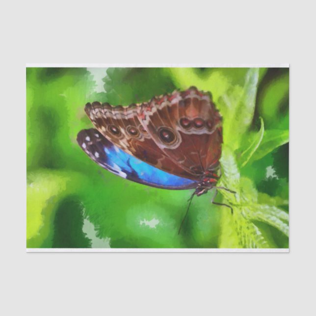 Schmetterlingsmalerei Seidenpapier (Vorderseite)