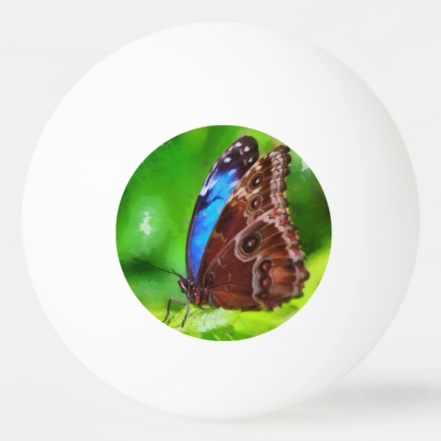 Schmetterlingsmalerei Tischtennisball (Rückseite)