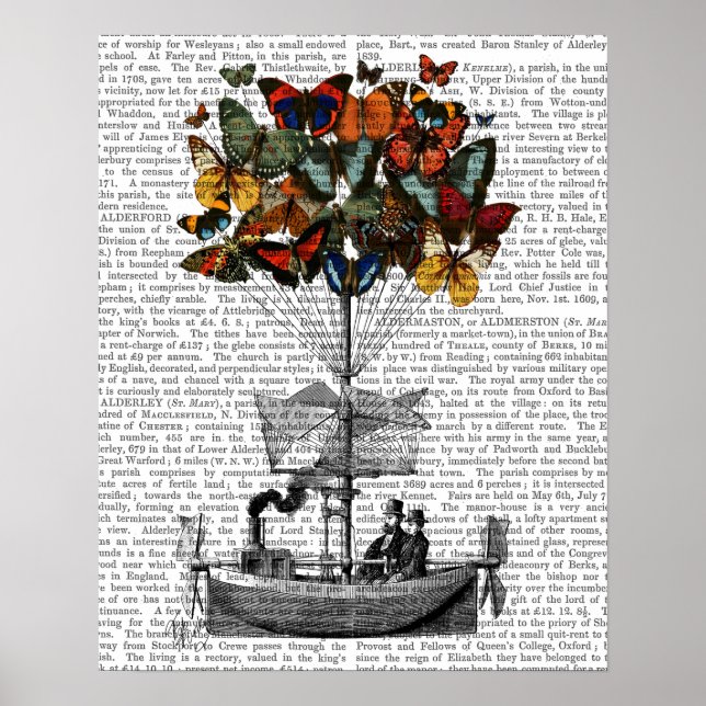 Schmetterlingsmarine Poster (Vorne)