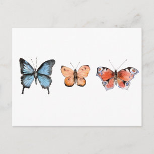 Schmetterlingsmuster Postkarte