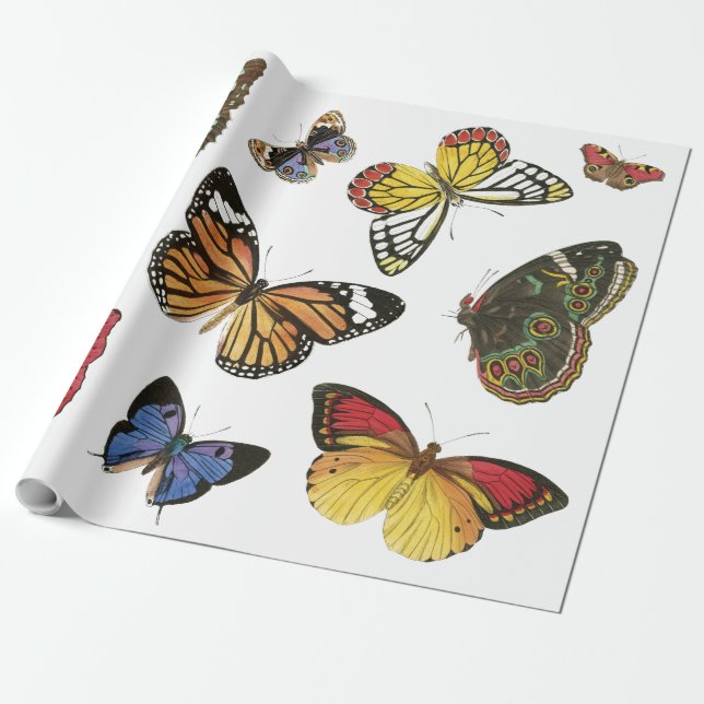 Schmetterlingspapier Geschenkpapier (Ungerollt)