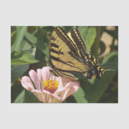 Schmetterlingspapier Seidenpapier