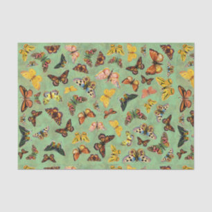 Schmetterlingspapier Seidenpapier