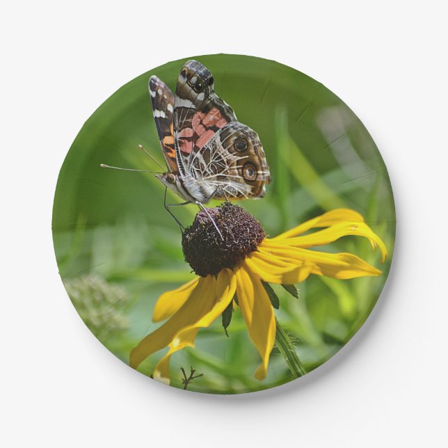 Schmetterlingspapierplatte Pappteller (Vorderseite)