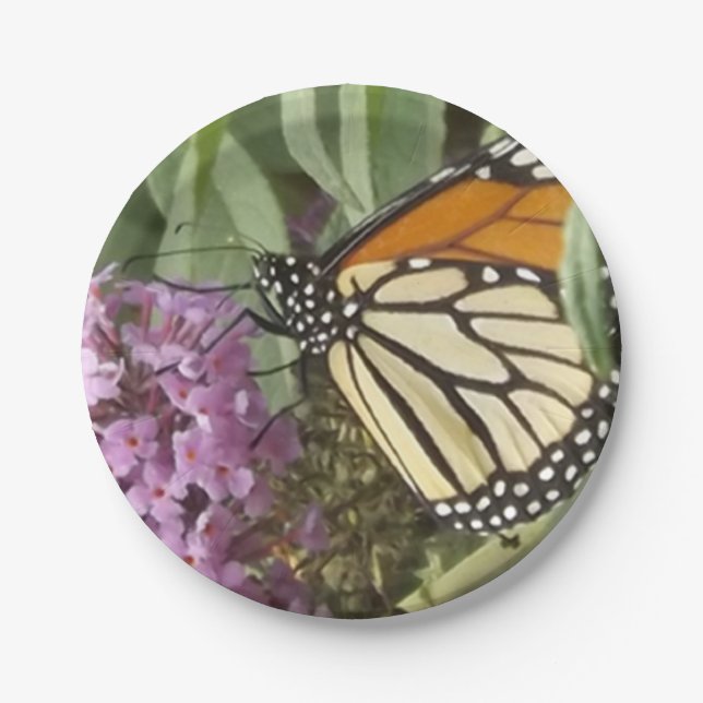 Schmetterlingspapierplatte Pappteller (Vorderseite)