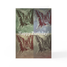 Schmetterlingspass, Geburtstag