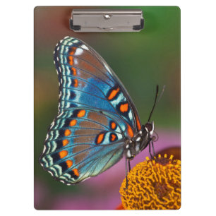 Schmetterlingsprofil auf einer Blume Klemmbrett