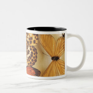 Schmetterlingssammlung Zweifarbige Tasse