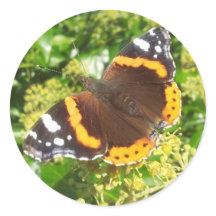 Schmetterlingsticker, Aufkleber