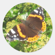 Schmetterlingsticker, Aufkleber