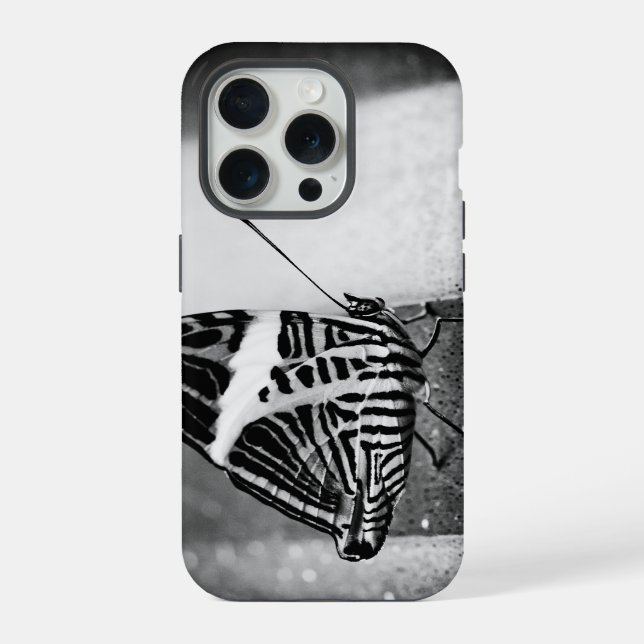 Schmetterlingsüberquerung iPhone Hülle (Rückseite)
