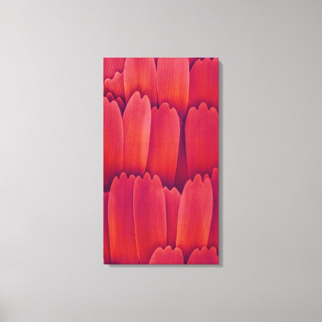 Schmetterlingswaagen Leinwanddruck (Vorderseite)