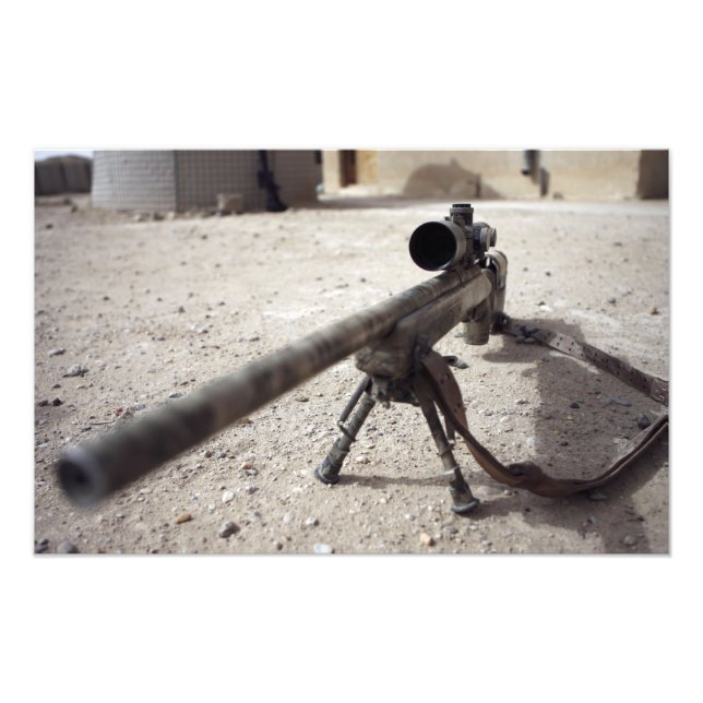 Schmidt & Bender M-854155 DS Fotodruck (Vorne)