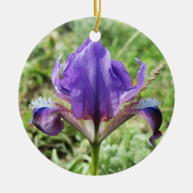 Schmuck aus wilder Iris Keramik Ornament (Vorne)