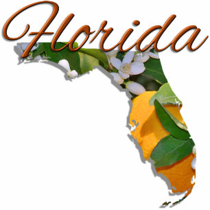 Schmuck - Button - FLORIDA Fotoskulptur Magnet