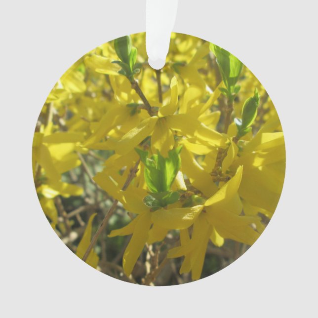 Schmuck - Pendant - Forsythia Ornament (Vorderseite)