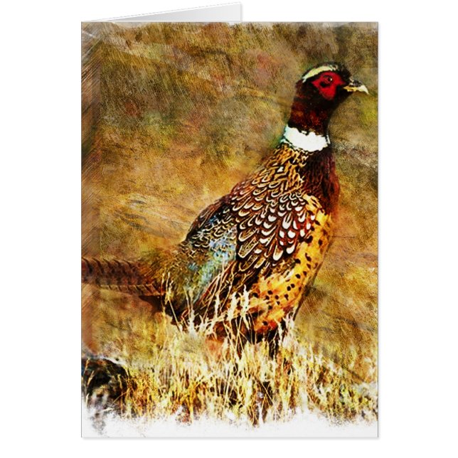 Schmutz Phesant (Vorne)