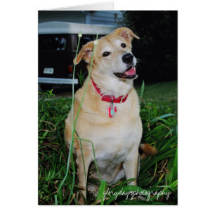 Schmutzig, glorydaysphotography