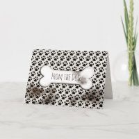 schmutzige Hundspoptiken und Knochengeburt