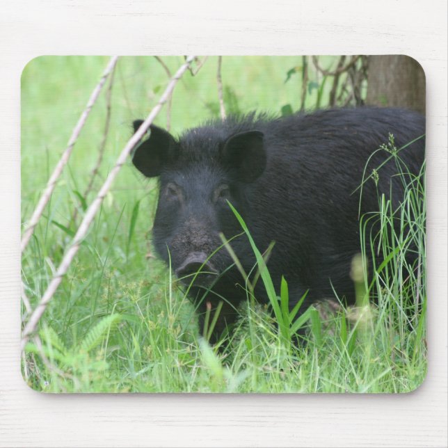 Schmutzige Nase Mousepad (Vorne)