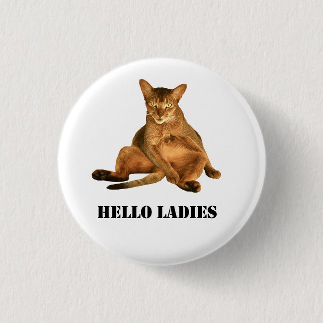 Schmutziger Katze pinback Knopf Button (Vorderseite)