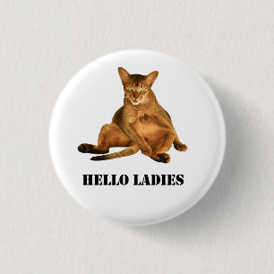 Schmutziger Katze pinback Knopf Button
