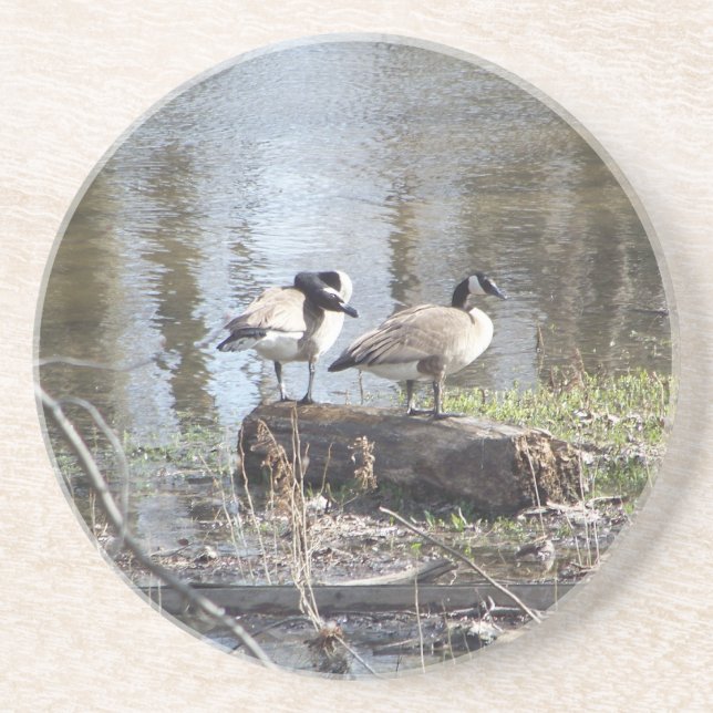 Schmutziger Vogel Getränkeuntersetzer (Vorne)