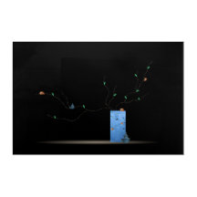 Schnabelschnecke Ikebana Gedicht blau braun