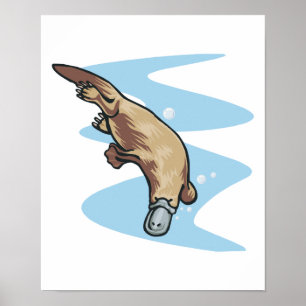 Schnabeltier Poster