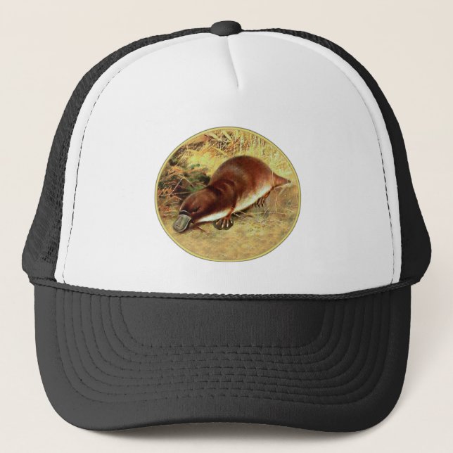 Schnabeltier Truckerkappe (Vorderseite)
