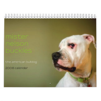 Schnallen Herr-Nelson: Die amerikanische Bulldogge Kalender