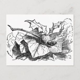 Schnapp-Drache-Fliege Postkarte