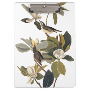 Schnäpper Tyrannen Vintage Audubon Klemmbrett