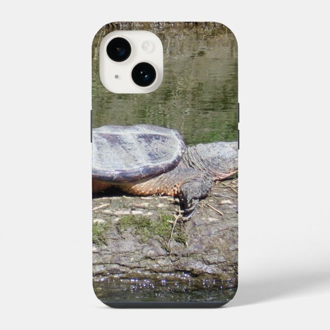 Schnappschildkröte iPhone Hülle (Rückseite)