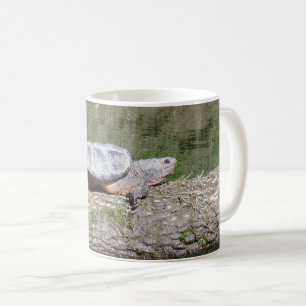 Schnappschildkröte Kaffeetasse
