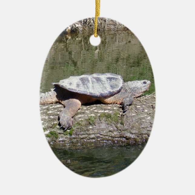 Schnappschildkröte Keramikornament (Vorne)