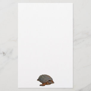 Schnappschuss Terrapin-lover Geschenk Briefpapier