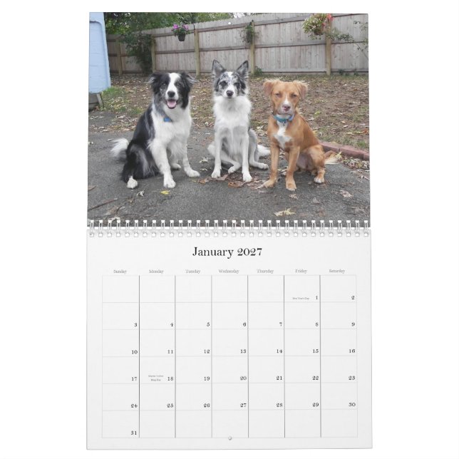 Schnappschüsse vom Kalender des lustigen (Jan 2027)