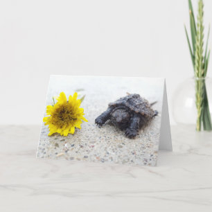Schnappverzierung - Grußkarte für Turtle und Lüste Karte
