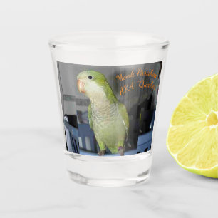 Schnapsglas mit QuäkerParakeetmotiv