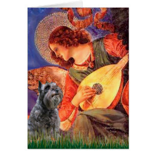 Schnauzer 12 - Mandolin Angel