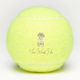Schnauzer-Ball, perfektes Hundegeschenk Tennisbälle