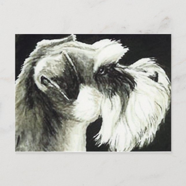 "Schnauzer" Dog Art Postcard Postkarte (Vorderseite)